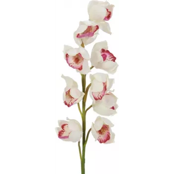 EUROPALMS veja cymbidium, umetna, belo-roza, 90cm 82530312