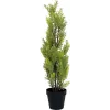 EUROPALMS Leyland cipresa umetna rastlina, 60cm 82606959