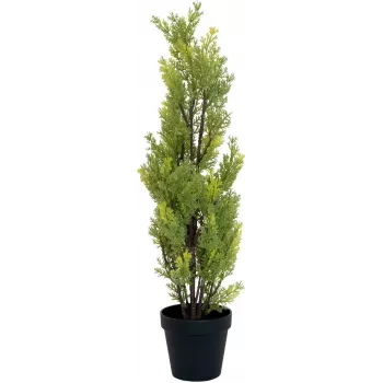 EUROPALMS Leyland cipresa umetna rastlina, 60cm 82606959