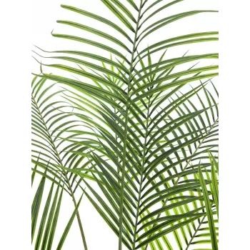 EUROPALMS velikolistna areka umetna areka palma, 185cm (82509442)