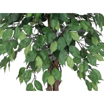 EUROPALMS Ficus Benjamina večdebelna umetna rastlina, 180 cm 82506126