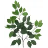 EUROPALMS umetna veja Ficus Benjamina, paket 12 kosov 82506101