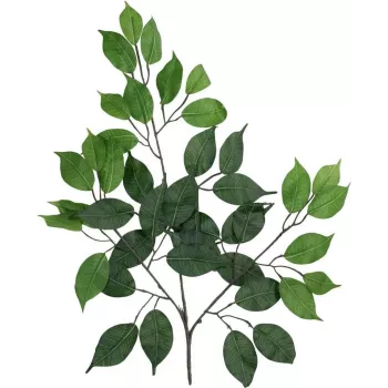 EUROPALMS umetna veja Ficus Benjamina, paket 12 kosov 82506101