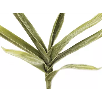 EUROPALMS umetna veja juke (EVA), zelena 82531063