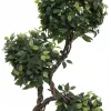 EUROPALMS Ficus Multi Spiral Trunk umetna rastlina, 160cm 82501563