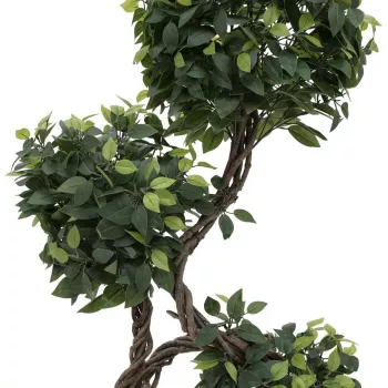 EUROPALMS Ficus Multi Spiral Trunk umetna rastlina, 160cm 82501563