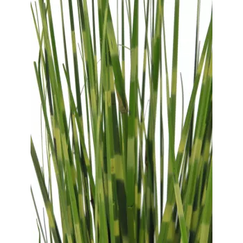 EUROPALMS zebrasta trava, umetna, 90cm 82505863