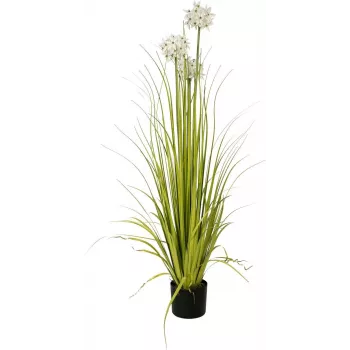 EUROPALMS umetna rastlina okrasni luk, bela, 120 cm 82600169