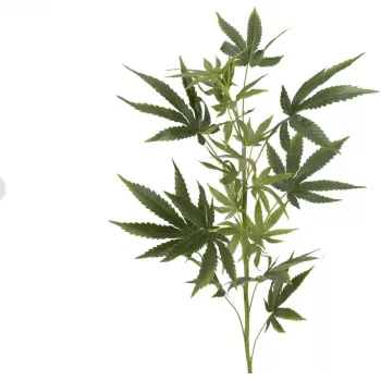 EUROPALMS umetna veja konoplje, 90cm, zelena 82506699