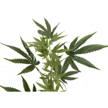 EUROPALMS umetna veja konoplje, 90cm, zelena 82506699