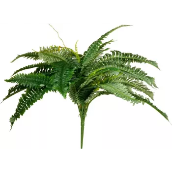 EUROPALMS umetna rastlina bostonska praprot, 53cm, zelena 82519934
