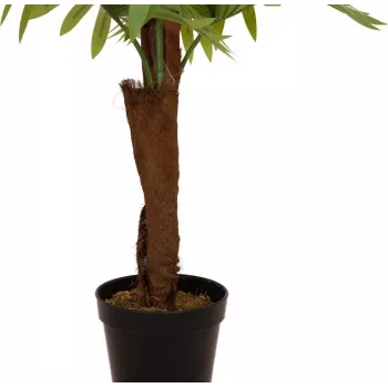 EUROPALMS pahljačasta palma umetna rastlina, 155cm 82509303