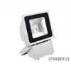 SYNERGY21 S21-LED-TOM01157 LED zunanji reflektor 80W sivo ohišje hladno bela V3