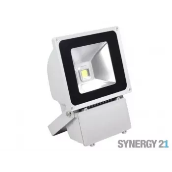 SYNERGY21 S21-LED-TOM01157 LED zunanji reflektor 80W sivo ohišje hladno bela V3