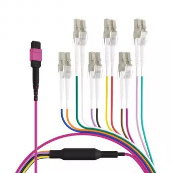 EFB Elektronik MPO-PLUS (F) na LC trunk kabel, OM4, 12 vlaken, tip B, LSZH, erika vijolična, 1m MPOF12LCOM4-1