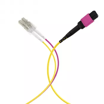 MPO-PLUS (F) na LC trunk kabel OM4 12 vlaken tip B LSZH erika vijolična 10m MPOF12LCOM4-10