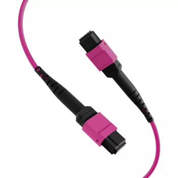 EFB Elektronik MPO-PLUS(F)-MPO-PLUS(F) patch kabel OM4 8 vlaken tip B LSZH erika vijolična 1m MPOF8MPOFOM4-1