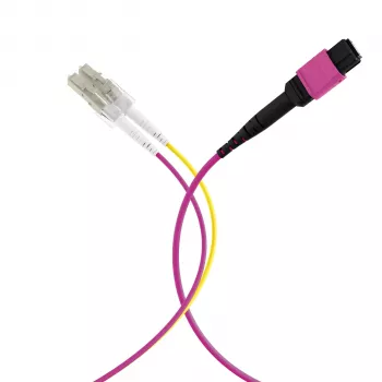 MPO-PLUS (F) na LC trunk kabel OM4 8 vlaken tip B LSZH vijolična erika 1m MPOF08LCOM4-1