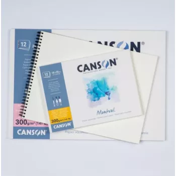 Canson Montval akvarelni papir, 200 g/m², 500 x 650 mm, naravno bel, fina zrnatost, brez kislin, 10 listov C518412002