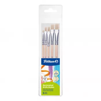Pelikan Starter set čopičev, 5 ščetinastih čopičev z lesenimi ročaji, različne velikosti, prozorna škatla 300008263