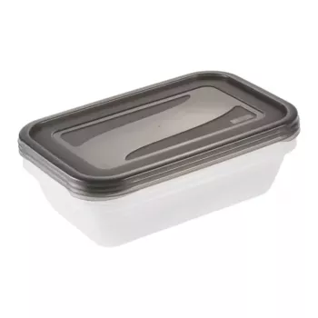 keeeper fredo fresh set posod za shranjevanje, 3 x 2,4 L, pravokotne, prozorne s sivimi pokrovi 3067982700000