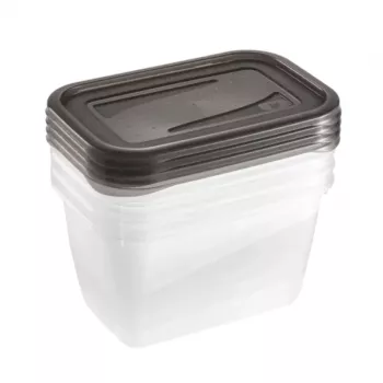 keeeper fredo fresh set posod za shranjevanje, 4 x 0,75 L, pravokotne, prozorne s sivimi pokrovi 3067382700000