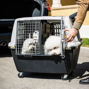 STEFANPLAST notranja pregrada za transportno kletko Gulliver Touring črna