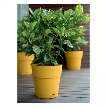STEFANPLAST Ethica cvetlični lonec s podstavkom Ø40x39cm gorčično rumen