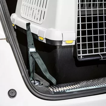 STEFANPLAST avtomobilski varnostni pasovi za transportno škatlo Gulliver Touring (3 kosi)