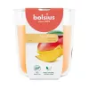 BOLSIUS True Scents dišeča sveča mango v kozarcu, Ø97x85 mm