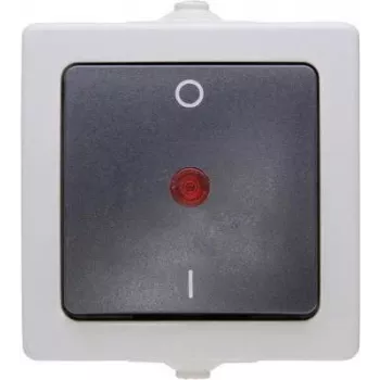 HEINRICH KOPP Nautic enopolno nadometno stikalo, IP44, sivo, 10A 250V AC 565296007
