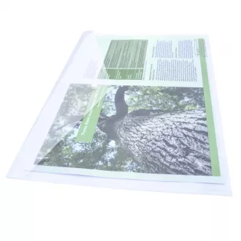 Rapesco ECO GRS A3 prozorne žepne folije (paket 10) 1817