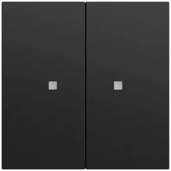 GIRA 517374 tipkalo 2-kratno OneKNX System 70 črno (517374)