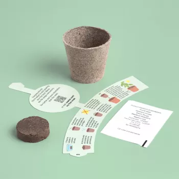 Resetea My First Crops – komplet za gojenje bazilike (Erst440)