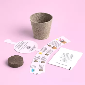 Resetea My First Crops – komplet za gojenje cvetja (Erst441)