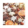 PAPSTAR božični prtički »Cinnamon Stars« 330 x 330 mm, potiskani, 1/4 pregib, 3-slojni