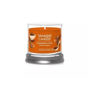 Yankee Candle Cinnamon Stick sveča v kozarcu z 1 stenjem