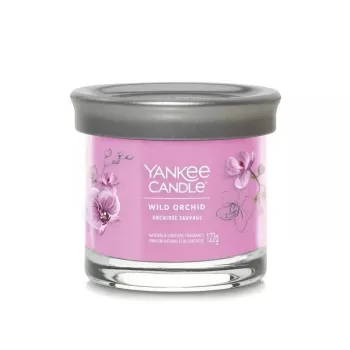Yankee sveča v kozarcu z 1 stenjem, Wild Orchid