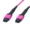 LogiLink MPO patch kabel 12 vlaken OM4, MPO/PC F/F, tip B, 2 m (FM7LC02)