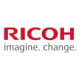 Ricoh D0BN2243 razvijalec rumen