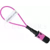 BlueOptics povratni adapter (loopback) MPO/MTP multimode OM4
