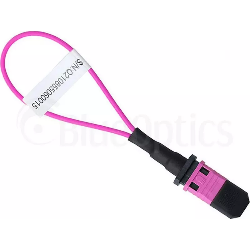 BlueOptics povratni adapter (loopback) MPO/MTP multimode OM4